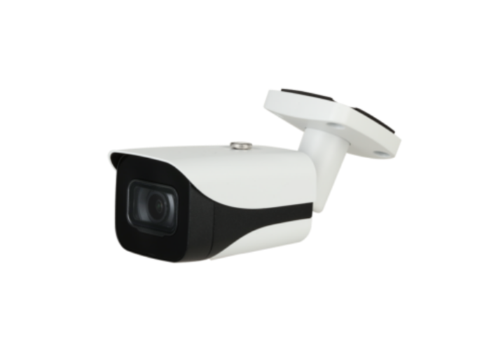 Detecvel Tertrais Systemes De Securite Agricole Ille Et Vilaine Mini Camera IP 2MP Serie 5 Detecvel Tertrais Systemes De Securite Agricole Ille Et Vilaine Mini Camera IP 2MP Serie 5
