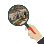 Detecvel Tertrais Systemes De Securite Agricole Ille Et Vilaine Precise Detecvel Tertrais Systemes De Securite Agricole Ille Et Vilaine Precise
